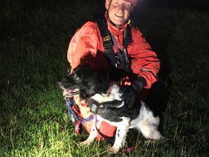 Supporting image for story: Woman and dogs rescued after Cannock Chase cliff fall