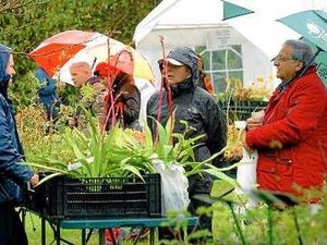 Supporting image for story: Shropshire events hit as rain lashes region