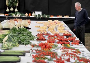 Vegetables on display