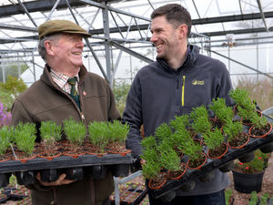 Supporting image for story: Meeting the taste for herbs: What it's like to run a nursery