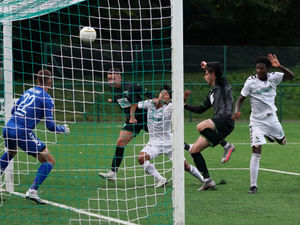 Supporting image for story: The New Saints offer free entry to friendly