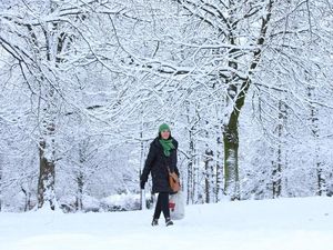 Supporting image for story