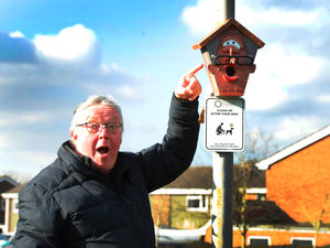 Supporting image for story: 'Bird Box Banksy' gets busy in Newport
