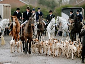 Supporting image for story: Boxing Day traditions continue with Albrighton and Woodland Hunt in Newport