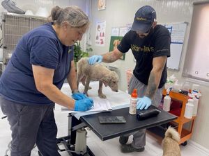 Louise working with one of the clinic assistants in the Iraq shelter to help a puppy called Andromeda