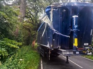 Supporting image for story: A-road remains closed as clean-up continues after HGV crashes into tree in early hours
