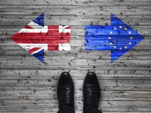 Supporting image for story: LETTER: Extend Brexit transition