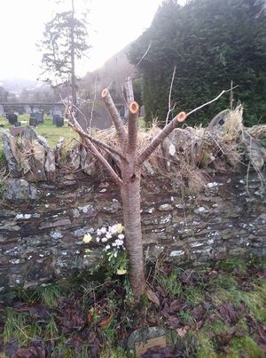 Supporting image for story