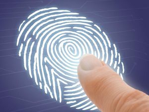 Supporting image for story: New fingerprint test can detect cocaine use in seconds