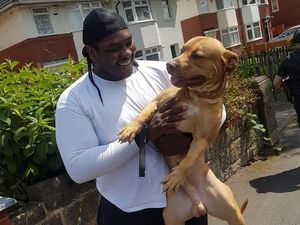 Supporting image for story: Rico's home! Delight as dog stolen from Morrisons car park is returned