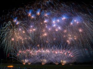 Supporting image for story: Firework displays returning to Wolverhampton Racecourse after Covid cancellation