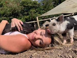 Adults can also benefit from spending time with animals - Animal News Agency