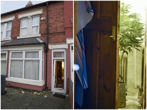 Supporting image for story: Man injured after group burst into home where cannabis plants found 