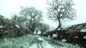 Snow in Gilberries Lane on the way to Gretton, Shropshire. Photo: Peter Steggles.