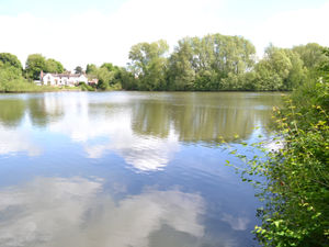 Supporting image for story: Wildlife site gets a helping hand to improve its attraction for birds and walkers alike