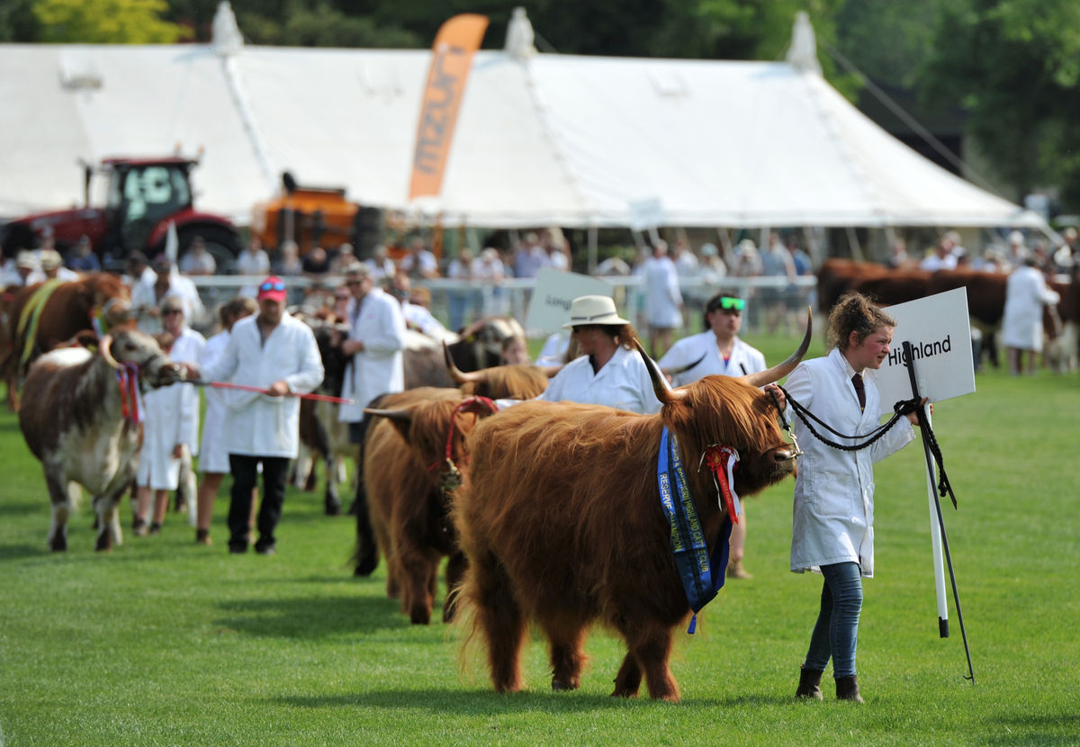 Top five unmissable highlights at this year’s Royal Three Counties Show in June