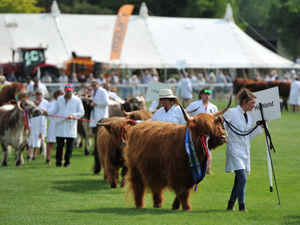 Supporting image for story: Top five unmissable highlights at this year’s Royal Three Counties Show in June