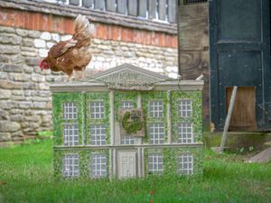 Supporting image for story: King adopts British Hen Welfare Trust’s one millionth hen