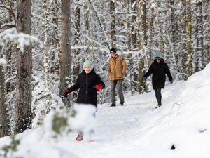 Supporting image for story: Temperatures fall to -12.5C in coldest night as snow brings more disruption