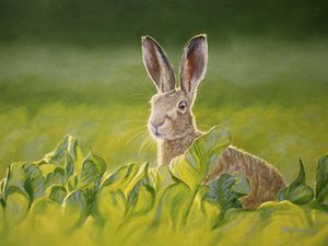 Supporting image for story: Peter Rhodes on pregnancy etiquette, saving the hare and what have the Romans ever done for us?