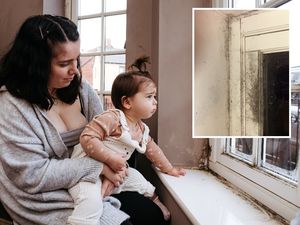 Supporting image for story: 'I don't want to bury another child': Telford mum's fear over mould in social housing