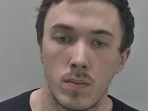 Supporting image for story: Illegal puppy farmer who sold sick dogs to families avoids jail despite missing trial and being on the run for three years