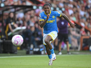 Supporting image for story: "We showed our spirit" - new Wolves signing confident in team's ability