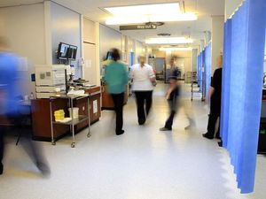 Supporting image for story: People are discussing the phrases they use over and over again in their jobs