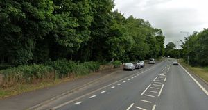 The lay-by where the kitten was found dumped in a cardboard box. Photo: Google 