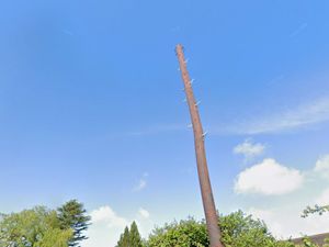 MP Helen Morgan said a number of "unsightly" poles - like this one in Clive - have been left abandoned after the contract was "descoped". Photo: Google