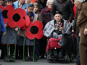 Supporting image for story