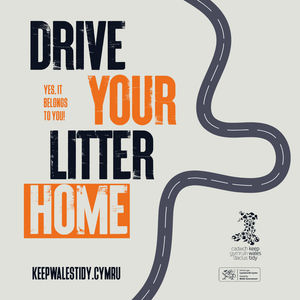 Litter found on 99% of main roads in Wales