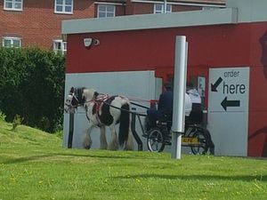 Supporting image for story: Kentucky drive-thru: Horse and cart snapped at Telford KFC