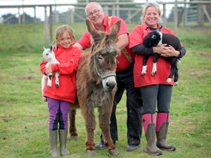 Supporting image for story: Shropshire pubs and attractions excited for post-lockdown return