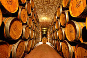 Supporting image for story: Visiting a grape escape