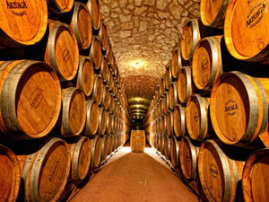 Supporting image for story: Visiting a grape escape