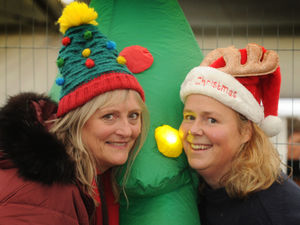 Supporting image for story: Snow falls just in time for Shrewsbury Winter Festival - with pictures and video  