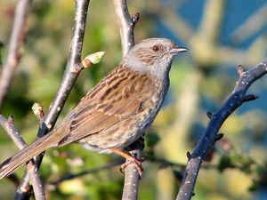 Supporting image for story: And again, luvvie, with less passion