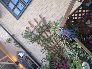 Part of the outside area at Katie's Secret Garden