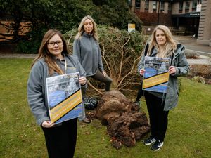 Supporting image for story: Wolverhampton charity event postponed due to bad weather and fallen Christmas tree