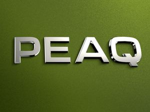 Supporting image for story: Skoda’s seven-seat electric SUV to be called the ‘Peaq’