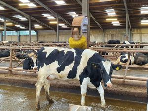 Supporting image for story: Hardship fund expected to be launched for dairy farmers