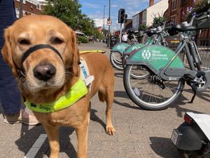 Supporting image for story: 'Guide dogs scared of e-scooters' campaigners claim as they return to Birmingham
