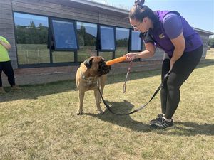 Rachel Frost, Events & Community Fundraising Manager at Birmingham Dogs Home with Cooper