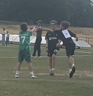 Cricket Ball Juggling for a mile