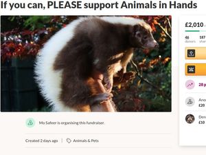 Supporting image for story: Thousands of pounds raised for Black Country exotic animal rescue service