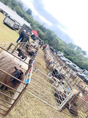 Supporting image for story: Llanbadarn Fynydd will be hosting its annual show Saturday, June 21 with organisers hoping it will be a spectacular event