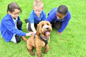 Pupils at Short Wood Primary School in Wellington with the school's therapy dog, Pippin. 