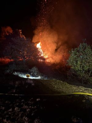 Fire teams from across the county battled a wildfire on Haughmond Hill. Picture: Tweedale Fire Station