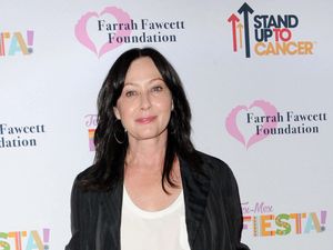Supporting image for story: 90210 and Charmed star Shannen Doherty became household name during 1990s